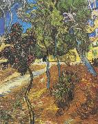 Vincent Van Gogh Trees in the garden of the Hospital Saint-Paul oil painting reproduction